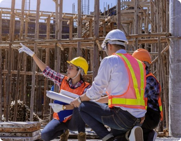 Optimised Project Execution through Independent Inspection